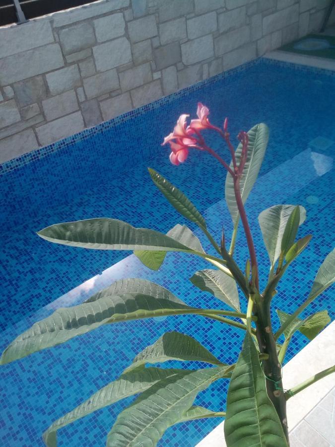 “Theeporto” Maisonette With Pool غوفي المظهر الخارجي الصورة