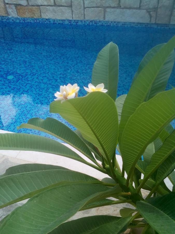 “Theeporto” Maisonette With Pool غوفي المظهر الخارجي الصورة